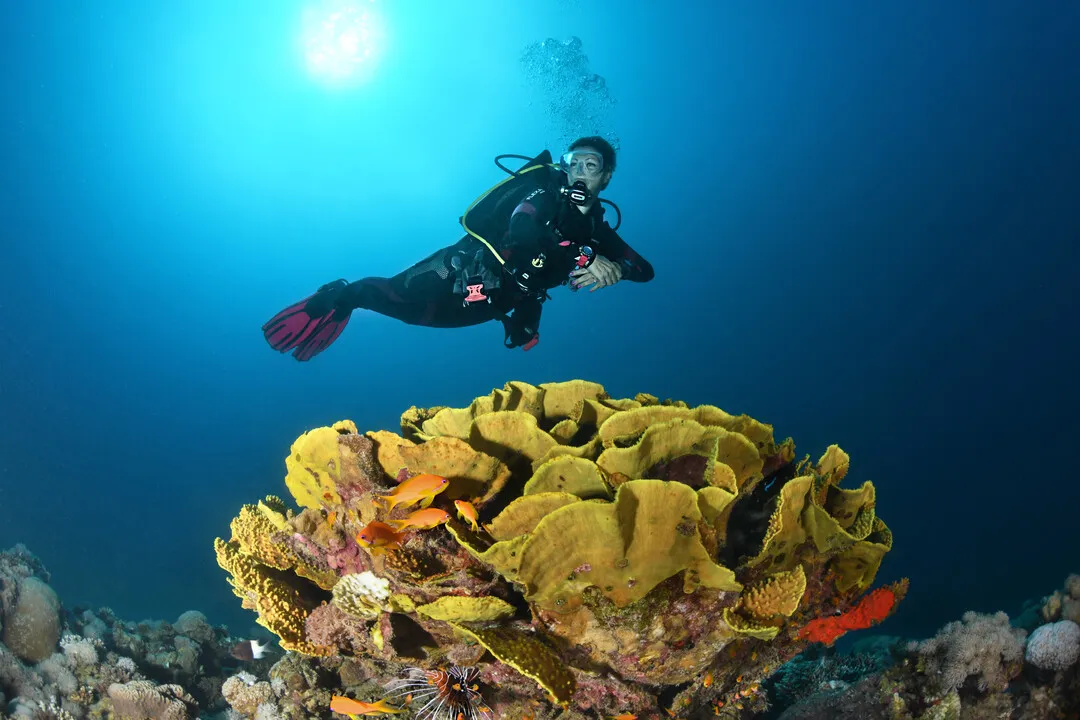 Advanced Open Water Diver – Tauchbasis Goitzsche